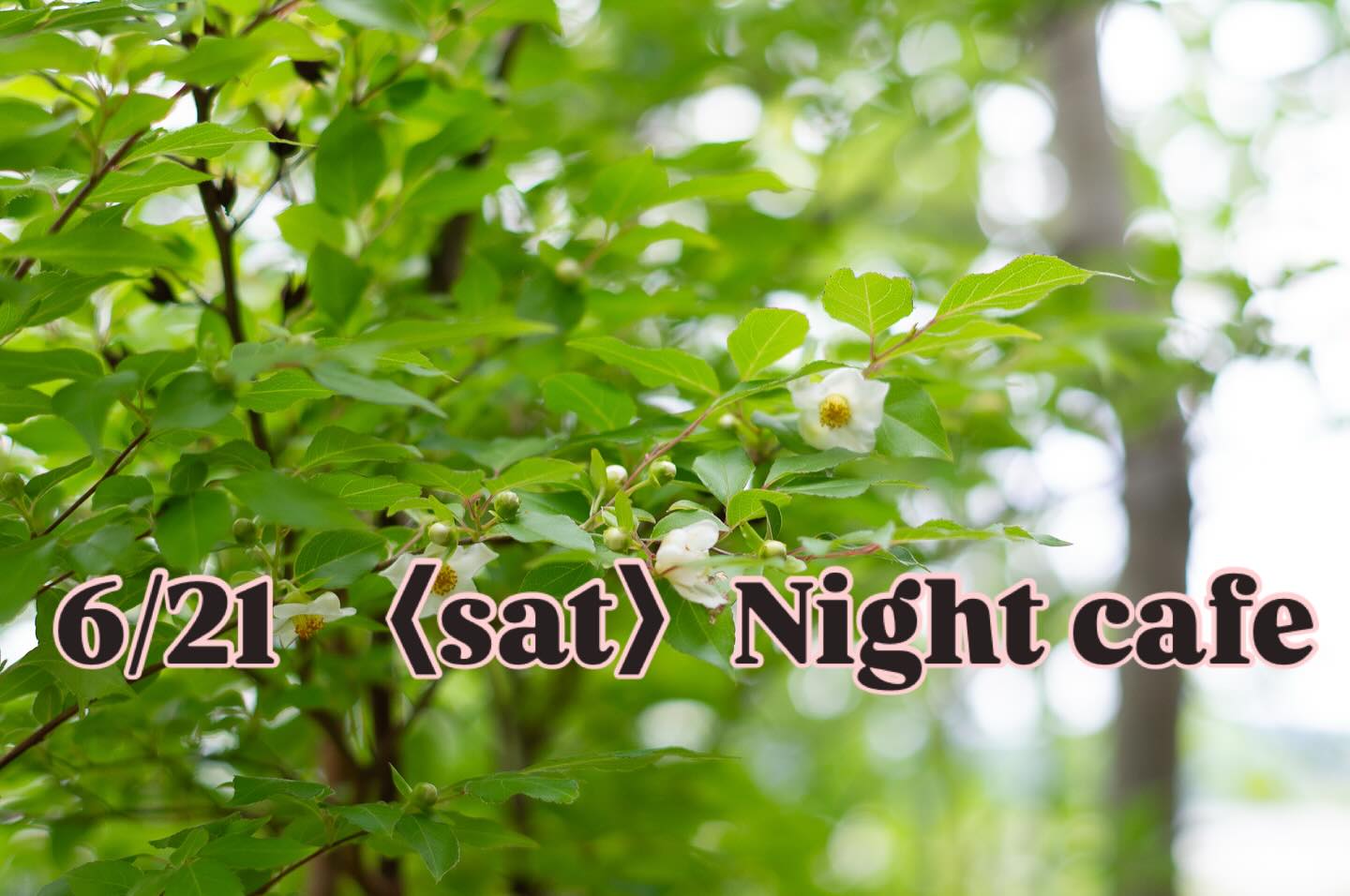 6月21日(土) 
21時までのんびり営業します。

予約もいりませんし
夜ごはん、オヤツもありますので
よかったら遊びに来てください。

夏至なのでキャンドルナイトしようと思います。

だんだんと陽が長くなり
お庭の緑も深まり美しくなってきました。
梅雨だけど晴れるといいな、と思います。