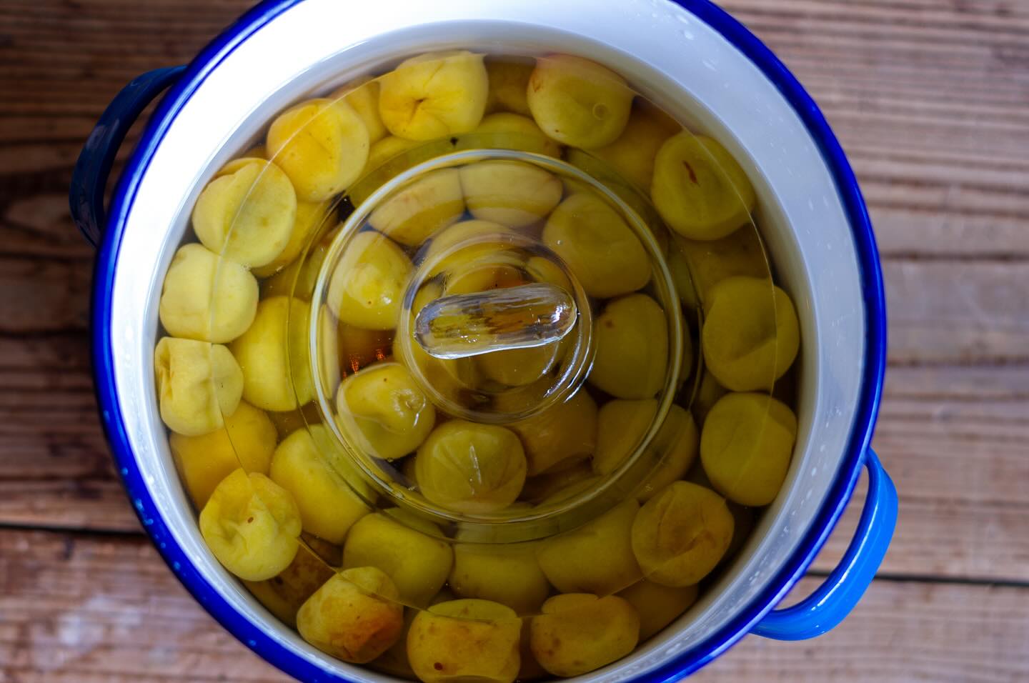 夏至の日のNight cafe
たくさんの方にお越しいただきありがとうございます。

軽めの晩ごはんにと
「かき揚げ冷やしうどん」お出ししましたが
ひとりテンパるくらいには
まあまあ手間取りまして
大変お待たせいたしました。

いつもは夕方までのカフェですが
夜の灯りの中のオリゼも気に入ってるので
時々はこんなの続けていきたいです。

写真は18日に塩漬けした南高梅です。
今年は三重県産の4Lサイズもあろうかという超ビッグサイズで、大きすぎで心配でしたが
梅酢もたっぷり上がってきたので一安心。

一緒に赤紫蘇も仕入れてきたので今年は土用干しまでスムーズにいけると良いなと思いますー。